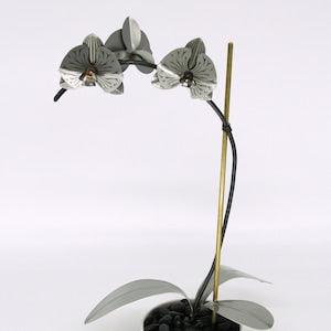 Orchid #6 Etched Stainless