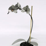 Orchid #6 Etched Stainless