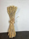 Gathered Wheat Sheaf Dried Bunddle Fall Autumn Thanksgiving Halloween Decoration