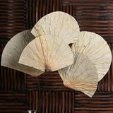 10cm Natural Dried Flower Lotus Leaf  Plant Floral DIY Home Wedding Gift Decor