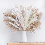 Natural Dried Pampas Grass Boho Home Decor Bouquet Phragmites Dried 96PCS