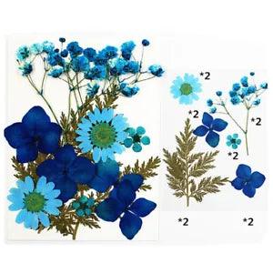 Assorted blue dried flowers for epoxy resin crafting, natural pressed petals and leaves