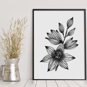 Blue Sun Orchid Black and White Wall Art Prints Sophisticated Artwork For Your Home Australian Native Flower A5 A4 A3 A2