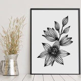Blue Sun Orchid Black and White Wall Art Prints Sophisticated Artwork For Your Home Australian Native Flower A5 A4 A3 A2