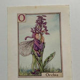 Small vintage print - flower fairy print - fantasy art - orchid print - botanical art - Cicely Mary barker - A Flower Fairy Alphabet print