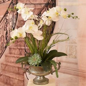White Orchids with Succulents in Silver Pedestal Vase