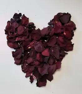 Burgundy Red Dried Rose Petals 6 Cups for Weddings, Crafts, Pot Pourri Free Ship
