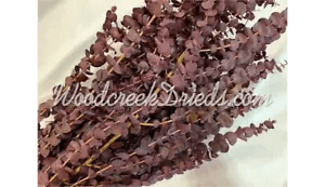 PRESERVED DYED WASHED PURPLE EUCALYPTUS FLORAL FOLIAGE FILLER FLOWER SCENTED