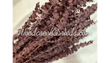 PRESERVED DYED WASHED PURPLE EUCALYPTUS FLORAL FOLIAGE FILLER FLOWER SCENTED