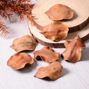 8pcs Nature Dried flower shell Eternal plant for DIY Wedding Birthday Party...