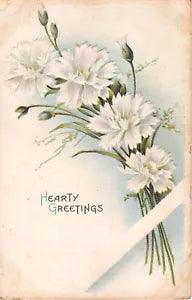 1909 Greetings Postcard of Lovely White Carnations - No. 208