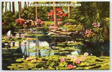 Florida Postcard Charming Lily Pool Linen UNP