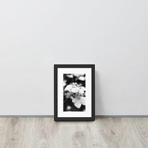 B&W Orchid Framed Poster With Mat