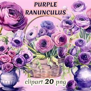 Watercolor purple ranunculus clipart, romantic bouquet, purple wedding, floral wreath, floral basket, garden flowers