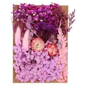 Natural Dried Flowers Multiple Real Dried Pressed Flowers Plant Light Purple