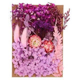 Natural Dried Flowers Multiple Real Dried Pressed Flowers Plant Light Purple
