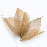 30PCS Natural Leaf Vein Petals Dried Flowers Bookmarks Nail Art Accessories...