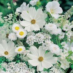 Wistfully Country Flower Delivery