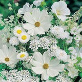 Wistfully Country Flower Delivery