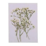 10pcs Dried  Flowers Pressed  Candle  DIY