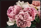 Pastel Pink Peonies - DIY Chart Counted Cross Stitch Patterns Needlework DMC