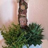 Orchids & plants decoration/skewer forest hut