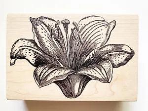 Magenta Rubber Stamp Lily Flower Easter Tiger Floral Pretty Wood Mount