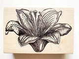 Magenta Rubber Stamp Lily Flower Easter Tiger Floral Pretty Wood Mount