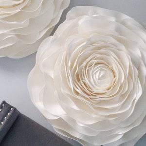 Oversize ranunculus
