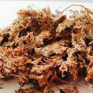 Sphagnum moss, moss, terrarium, sphaign, substrate, terrarium kit, dried moss, terrarium substrate, dried plant, orchid soil