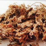 Sphagnum moss, moss, terrarium, sphaign, substrate, terrarium kit, dried moss, terrarium substrate, dried plant, orchid soil