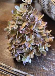 Assorted Rustic Dried Hydrangea Flower Heads - Approximately 6 To 8 Flower Heads