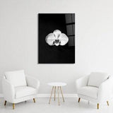Floral Minimalist Wall Art Small White Orchid Black And White Bedroom Decor Botanical Elegant Home Office Decor
