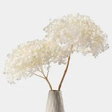 2 PCS Large Flower Heads Dried White Hydrangea Flowers (Length 14" Corolla