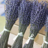 1 Bunch Natural Dried Flower Lavender Floral Plant Bouquets Home Decor Crafts