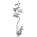 Original Orchid A4 Drawing