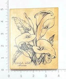 PSX Botanical Calla Lily Aracea Rubber Stamp K-1696 1995 Vintage Plants Flowers