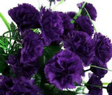 CARNATION GRENADIN KING OF BLACKS Dianthus Caryophyllus - 200 Bulk Seeds