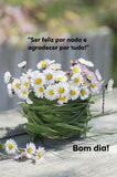 Good Morning Greetings F20 Flower Delivery