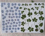 100 pcs Forget-me-nots and leaves, Pressed forget-me-nots, Flat drying, Dried fl
