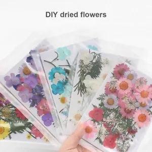 Pressed Flower Mixed Organic Natural Dried Collect Craft DIY Art Floral Decor