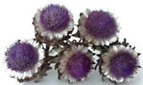 Lot of Five Real Dried Artichoke Flowers 4-5 Inches Wide on Natural Stems- Lot 2