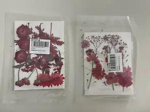 Dried Pressed Flowers and Leaves for Resin, Jewelry DIY, Card Making, etc. Set 2