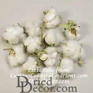 Natural Cotton Bolls Cotton Balls Single Bag