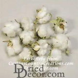 Natural Cotton Bolls Cotton Balls Single Bag
