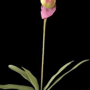 LARGE Artificial Paphiopedilum Lady slipper orchid  BURGUNDY