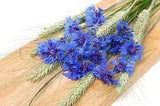How To Dry Cornflowers. Flower Delivery