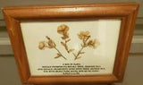 Dried Pressed Flowers with O Son of Man passage (Bah??????? Themed Decorative Art)