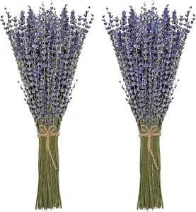 Dried Lavender Bundles 100 Natural Dried Lavender Flowers for Home Decoration Ph