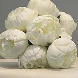 White  Peony Arrangement - Artificial Silk Flowers For Wedding Anniversary Birthday | Claire De Fleurs